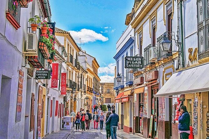 Cordoba and Its Mosque From Granada With Private Transfer - Booking Options
