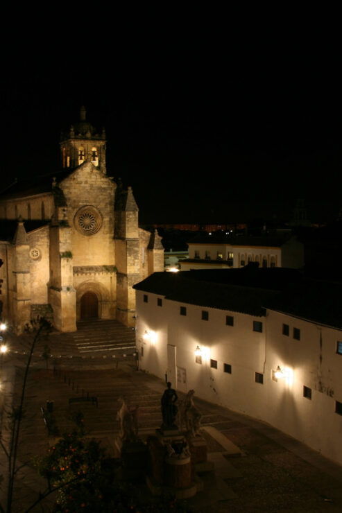 Cordoba at Night by Bike, Electric Bike - Good To Know