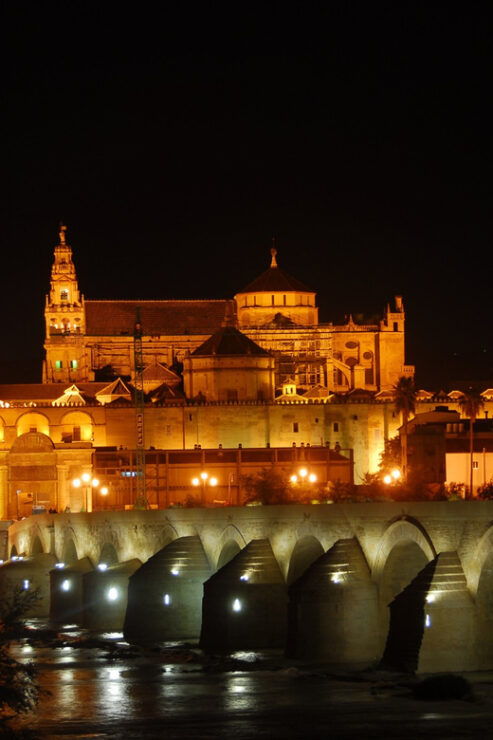 Cordoba at Night by Bike, Electric Bike - Activity Highlights
