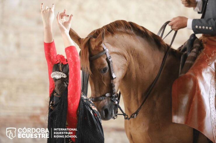 Cordoba: Caballerizas Reales Equestrian Show Entry Ticket - Experience Highlights