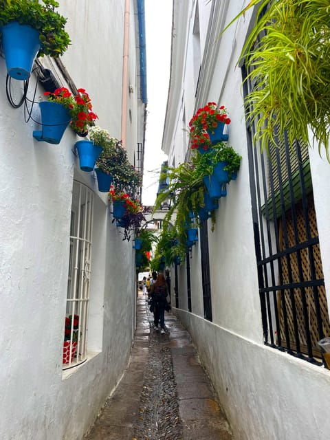 Cordoba: City Highlights Private Walking Tour - Judería De Cordoba (Jewish Quarter)