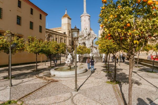 Córdoba City Sightseeing Hop-On Hop-Off Tour - Common Questions