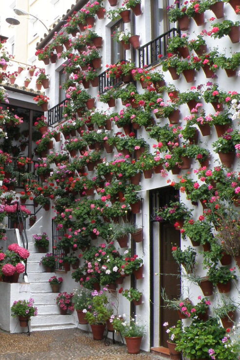 Cordoba Courtyards by Bike, Electric Bike - Good To Know