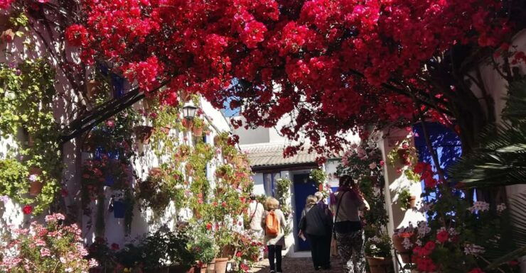 Cordoba Courtyards by Bike, Electric Bike - Tour Highlights