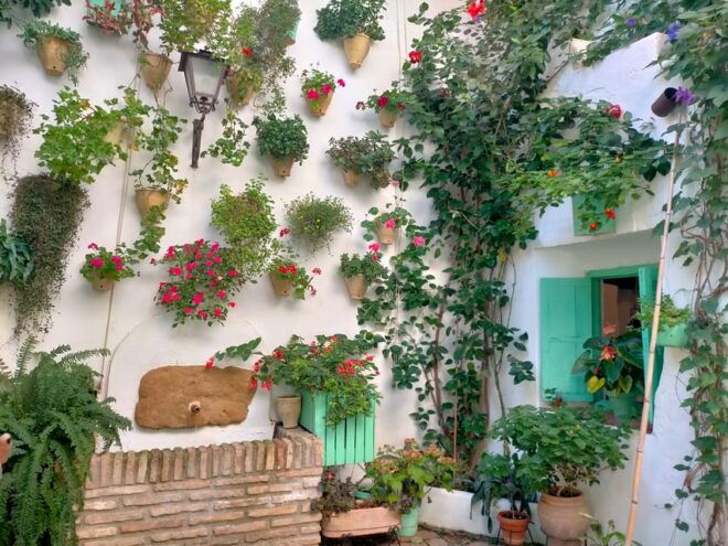 Cordoba Courtyards by Bike, Electric Bike - Guided Experience