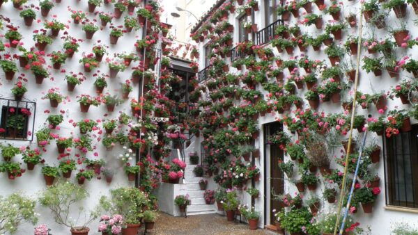Cordoba Courtyards by Bike, Electric Bike - Meeting Point and Schedule