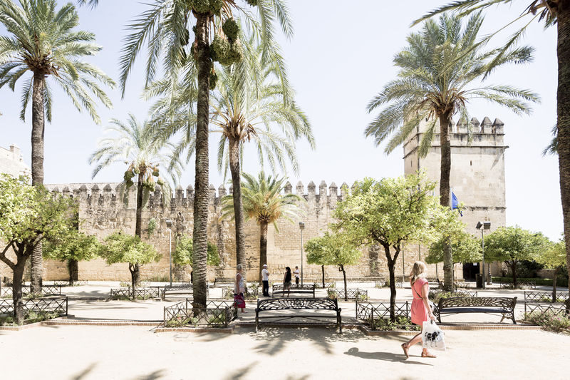 Cordoba Day Tour from Costa del Sol - Should you book the Córdoba day tour?