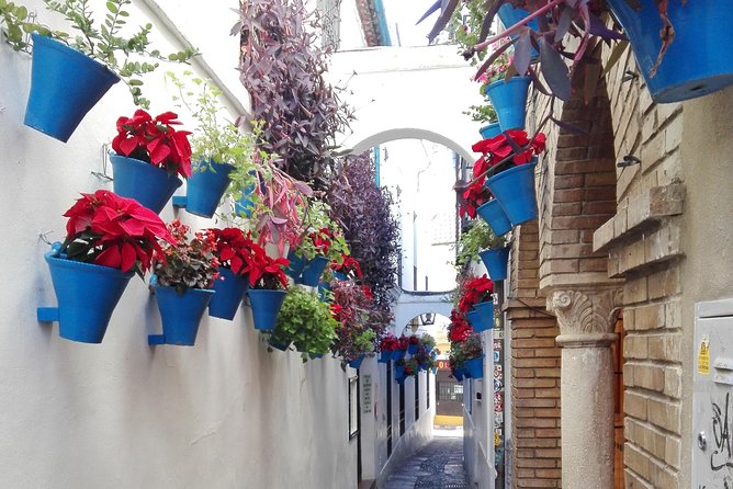 Cordoba Day Trip From Malaga - Pickup and Meeting Points