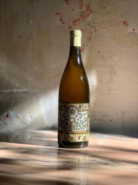 Córdoba: Discover the Soul of Spanish Natural Wine & Cuisine - Why You Should Consider This Tour