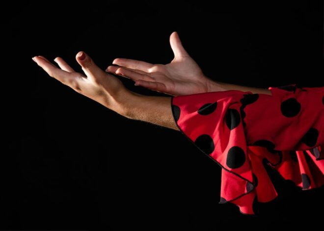 Córdoba. : Flamenco Class Experience - Inclusions and Exclusions