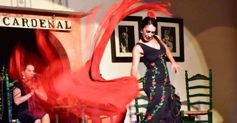Córdoba: Flamenco Show Ticket With Drinks - Ticket Details