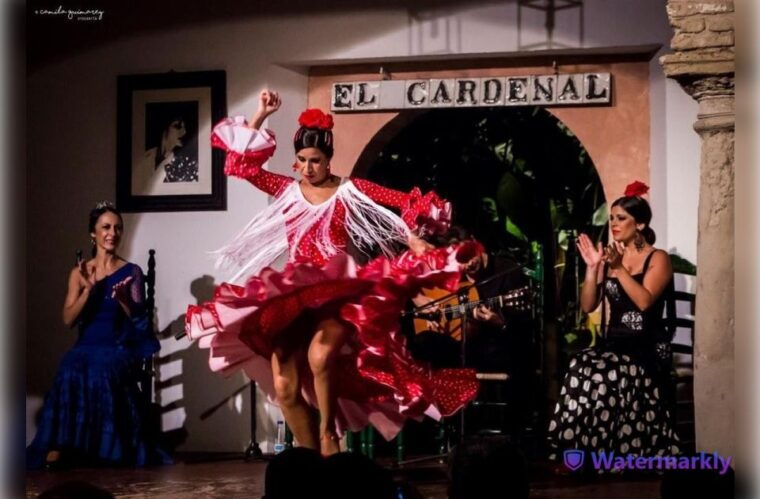 Córdoba: Flamenco Show Ticket With Drinks - Included Amenities