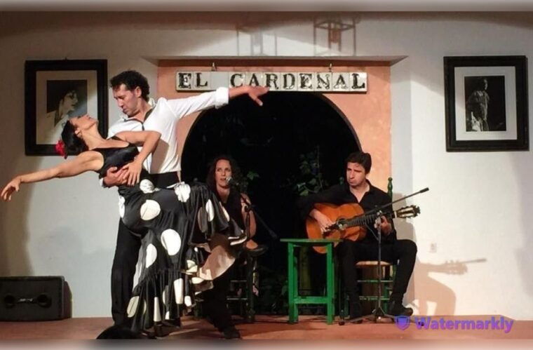 Córdoba: Flamenco Show Ticket With Drinks - Customer Feedback