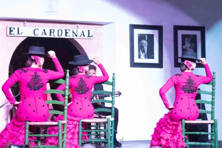 Córdoba: Flamenco Show Ticket With Drinks - Highlights of the Experience