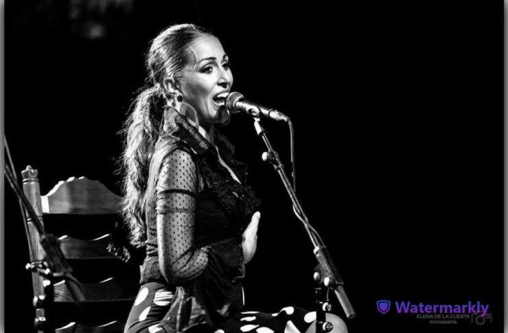 Córdoba: Flamenco Show Ticket With Drinks - Ticket Details
