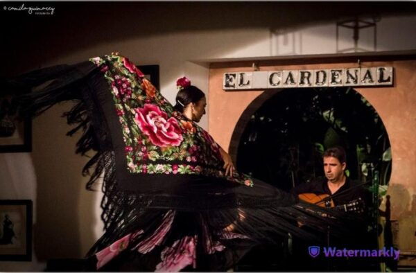 Córdoba: Flamenco Show Ticket With Drinks - The Sum Up
