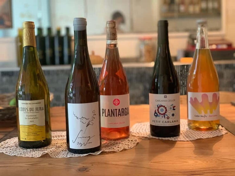 Cordoba: From Vine to Table: A Spanish Wine Experience - The Route and Highlights