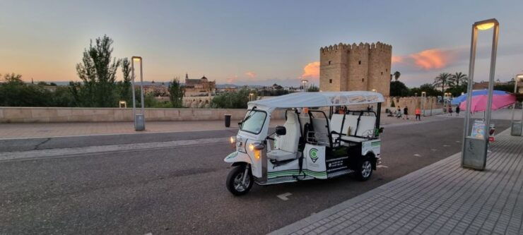 Córdoba: Guided City Tour by Tuk-Tuk - Tour Duration and Availability
