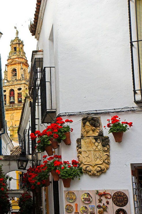 Cordoba Guided Day Trip From Seville - Itinerary and Activities