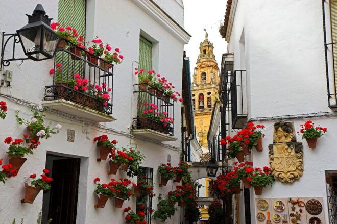 Cordoba Guided Day Trip From Seville - Inclusions and Logistics