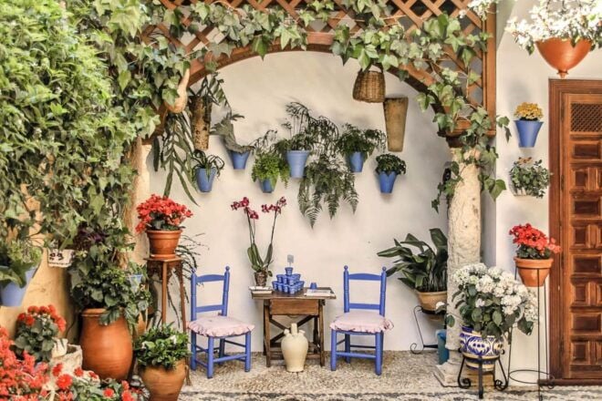 Córdoba: Guided Tour of the Patios - Inclusions