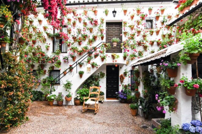 Córdoba: Guided Tour of the Patios - Meeting Point
