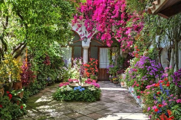 Córdoba: Guided Tour of the Patios - Best Time to Visit