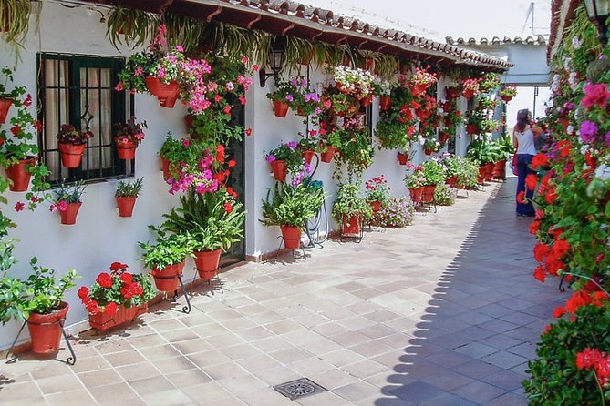 Cordoba Guided Visit to the Popular Patios - Pricing and Booking