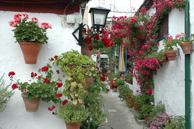 Cordoba Guided Visit to the Popular Patios - Meeting and Pickup