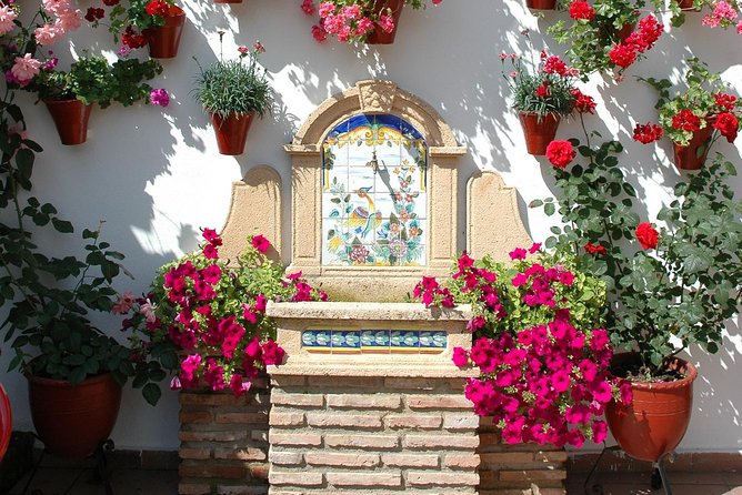 Cordoba Guided Visit to the Popular Patios - Lowest Price Guarantee
