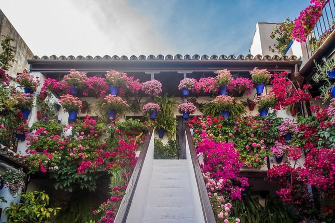 Cordoba Guided Visit to the Popular Patios - Free Cancellation and Flexible Booking
