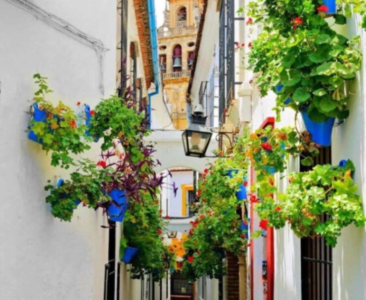Cordoba: Historical Monuments of Cordoba City Walking Tour - Experience Highlights and Inclusions