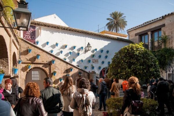 Cordoba: Jewish Quarter and Mosque-Cathedral Guided Tour - Common Questions