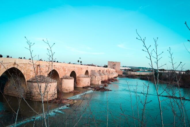 Cordoba: Jewish Quarter Walking Tour - Experience Description