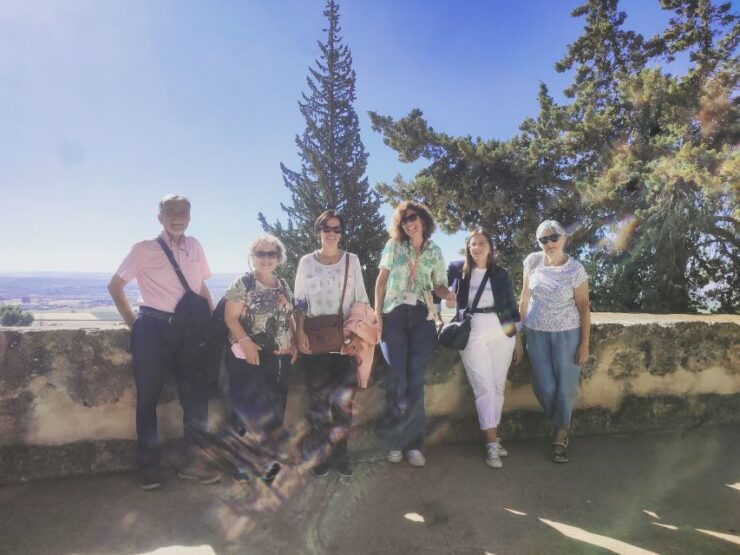 Cordoba: Medina Azahara Museum and Archaeological Site Tour - Tour Experience and Excavation Finds