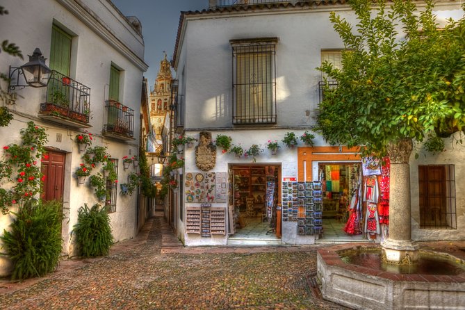 Cordoba Mezquita Tour With Wine Tasting - Tour Details