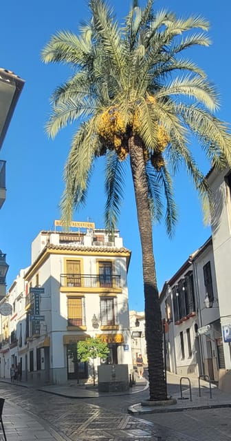 Córdoba Mid-Morning Walk - Small Groups, Native English. - Duration and Price