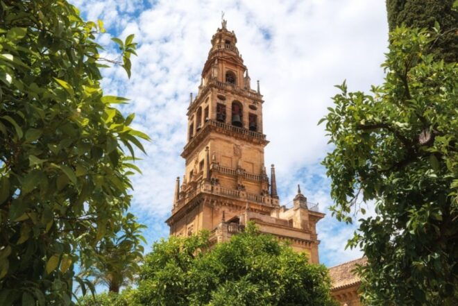 Córdoba: Mosque-Cathedral & Alcazar Guided Tour - Cultural Immersion