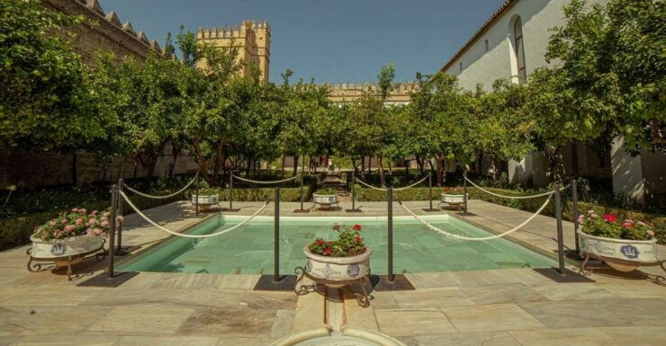 Córdoba: Mosque-Cathedral and Alcazar Tour - Tour Details