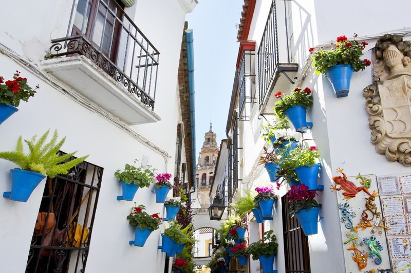 Cordoba Mosque-Cathedral and Jewish Quarter Guided Walking Tour - Two landmarks, one connected story