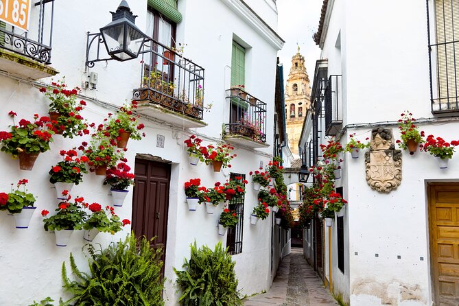 Cordoba Mosque-Cathedral & City Private Tour - Visitor Satisfaction and Endorsement