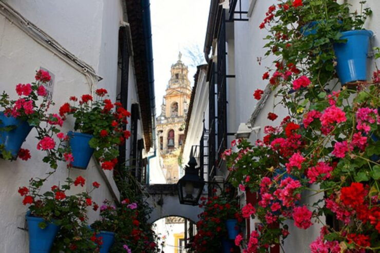 Córdoba: Mosque-Cathedral of Cordoba Private Walking Tour - Good To Know
