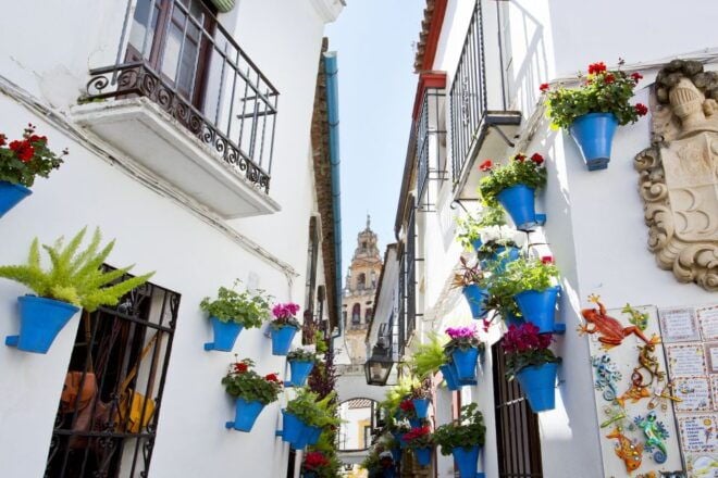 Cordoba Mosque, Synagogue & Jewish Quarter Tour With Tickets - Reservation and Payment Options