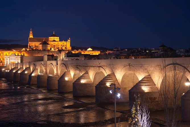 Cordoba Old Town Private Walking Tour - Reviews