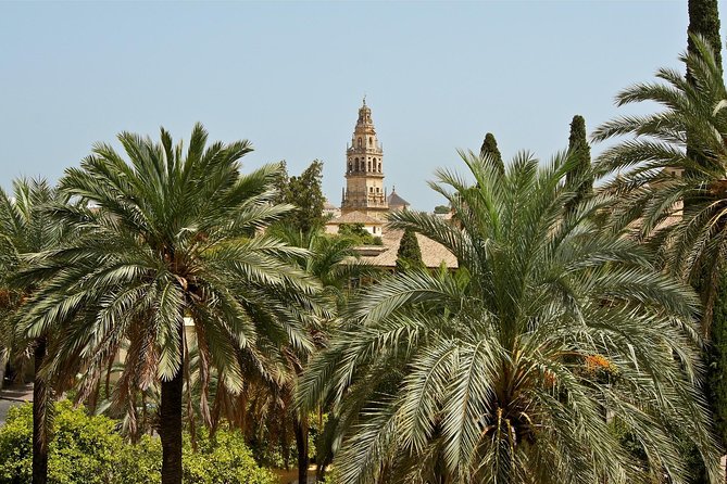 Cordoba Old Town Private Walking Tour - Additional Information