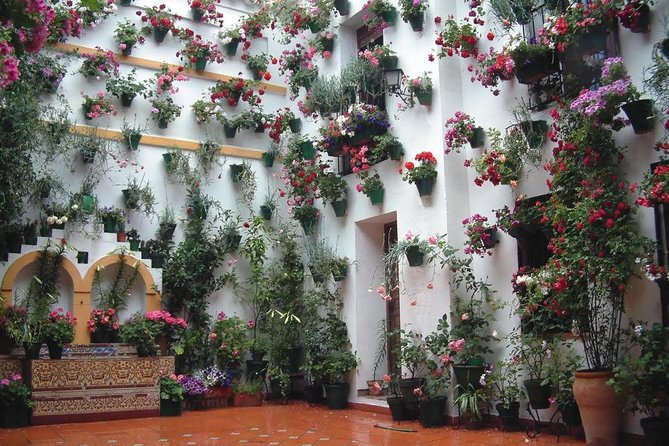 Cordoba Old Town Private Walking Tour - Common Questions