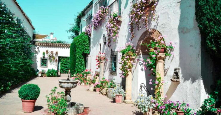 Cordoba: Patios and Viana Palace Tour - Activity Overview