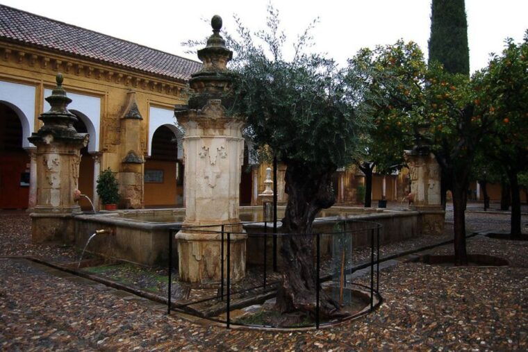 Cordoba: Private 3-Hour Monuments Tour - Strolling Through the Jewish Quarter