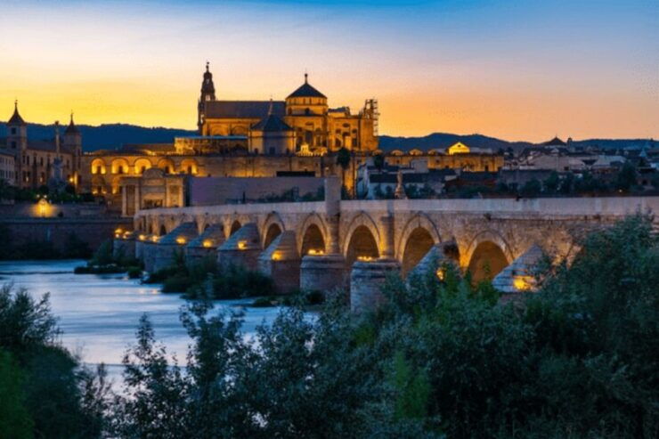 Córdoba Private Day Trip From Sevilla - Activity Highlights