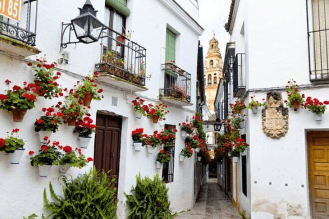 Córdoba Private Day Trip From Sevilla - Itinerary
